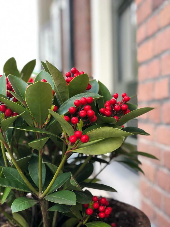 De Oude Wasserij Doesburg Eksteriør bilde